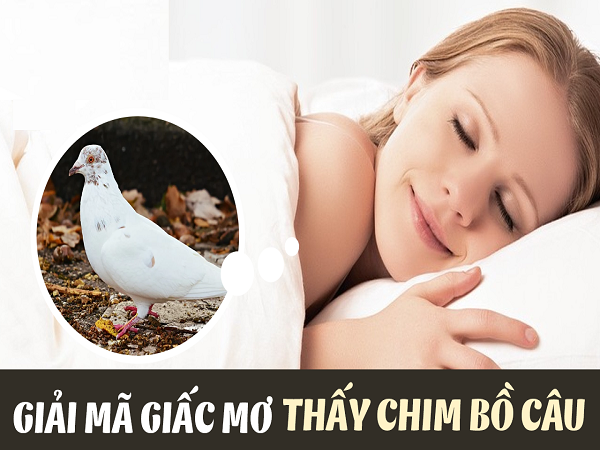 Giải mã giâc mơ bồ câu