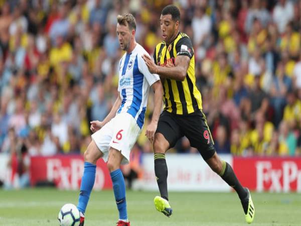 nhận định bóng đá giữa Watford vs Brighton, 22h00 ngày 12/2