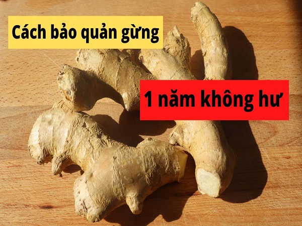 Cách bảo quản gừng tại nhà đơn giản cho bạn