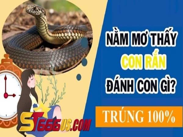 Những con số nào liên quan đến ý nghĩa của các giấc mơ về rắn?