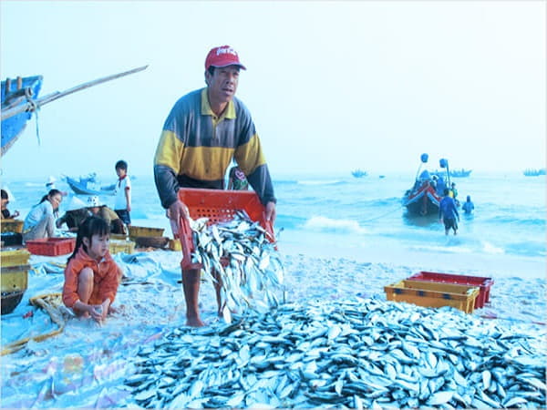 Nhìn thấy bãi cá: Tài lộc và cơ hội mới sẽ đến với bạn